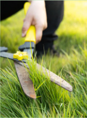 Local Way Home Development | Landscaping | Hardscaping | Dump Trailer | Grass cutting